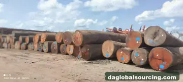 Need Darina Logs From Guyana - Monthly Order