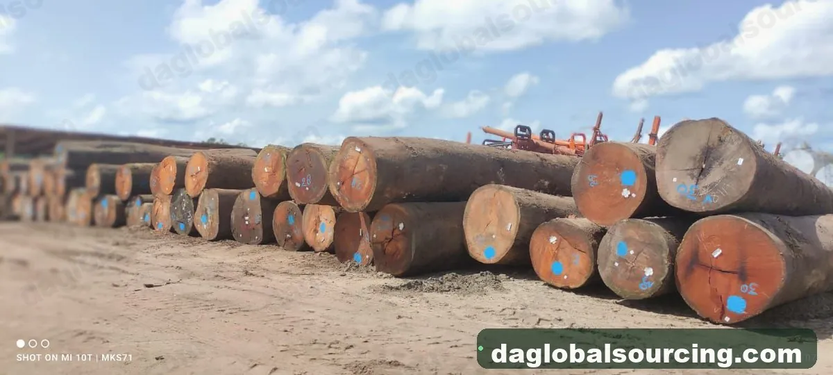 Darina logs from Guyana — goods a Vietnam buyer wants