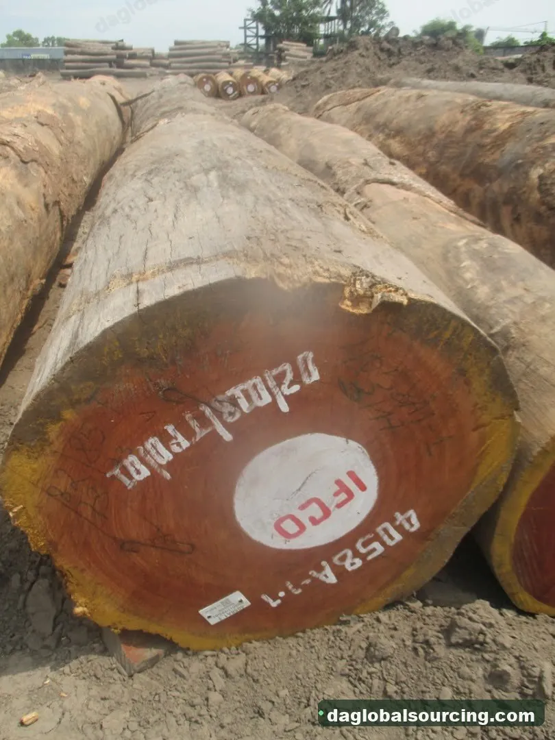 Doussie (Afzelia) logs from Cameroon — goods a Vietnam buyer wants