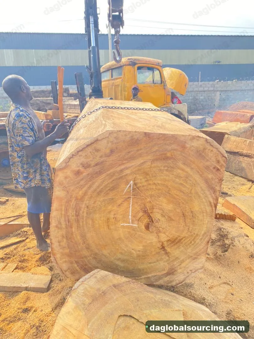 Iroko logs from Congo — goods a Vietnam buyer wants