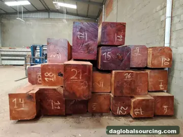 Need Jatoba (Paquio) Squared Wood From Bolivia - Monthly Order