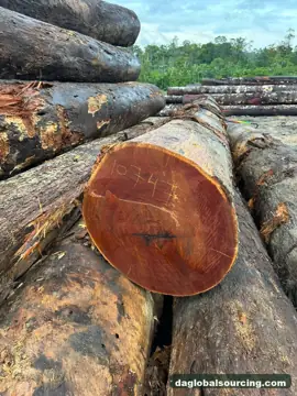 Need KAW (Kaw Udu) Logs From Suriname - Monthly Order