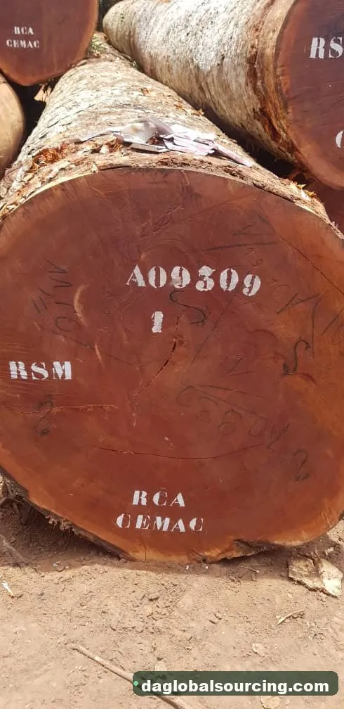 Sapelli (Sapele) logs from Congo — goods a Vietnam buyer wants