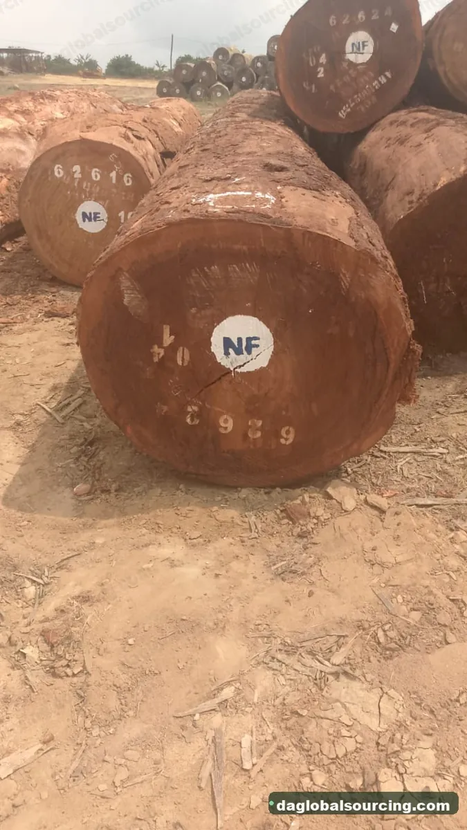 Tali (Ironwood) logs from Cameroon — goods a Vietnam buyer wants