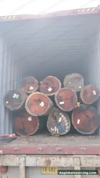 Wpl from Suriname — real goods photo 4