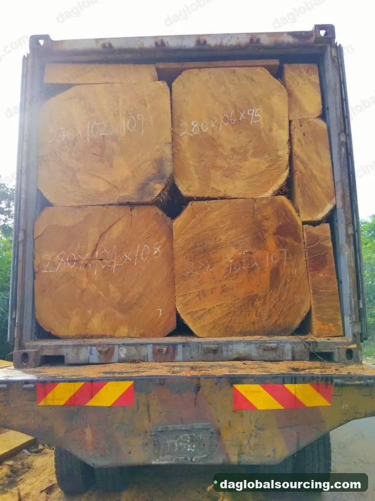 Bilinga squared from Nigeria — goods a Vietnam buyer wants