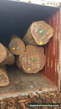 Pachyloba (Afzelia) Logs From Cameroon - Vietnam Buyer Wanted