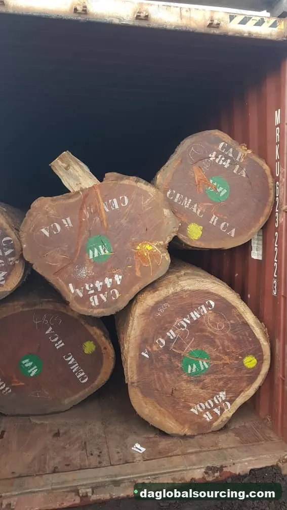 Pachyloba logs from Central African Republic — goods a Vietnam buyer wants