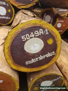 Padouk from Cameroon — real goods photo 2