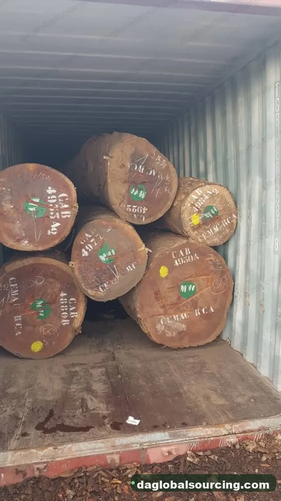 Padouk logs from Congo — goods a Vietnam buyer wants