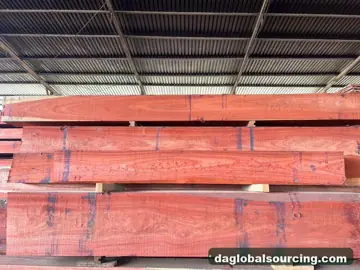 Padouk Squared Wood From Central African Republic - Vietnam Buyer Wanted