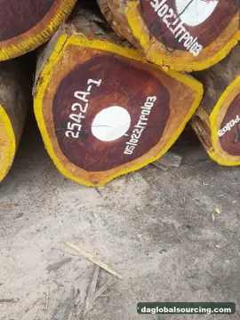 Padouk from Cameroon — real goods photo 2