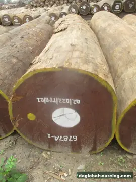 Aformosia from Congo — real goods photo 2