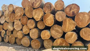 Purchase Bilinga Logs From Cameroon Every Month