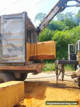 Bilinga from Congo — real goods photo 2