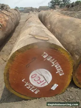 Purchase Doussie (Afzelia) Logs From Cameroon Every Month