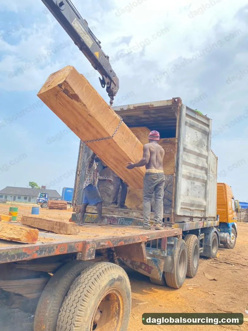 Iroko logs from Cameroon — goods a Vietnam buyer wants