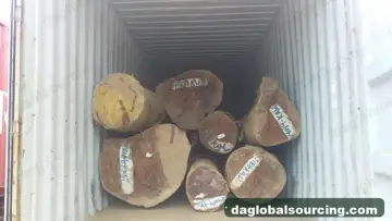 Kaw from Suriname — real goods photo 2