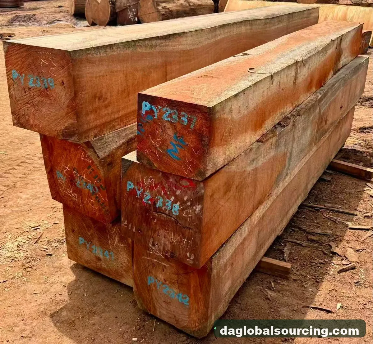 Pachyloba squared from Central African Republic — goods a Vietnam buyer wants