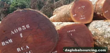 Purchase Sapelli (Sapele) Logs From Congo Every Month