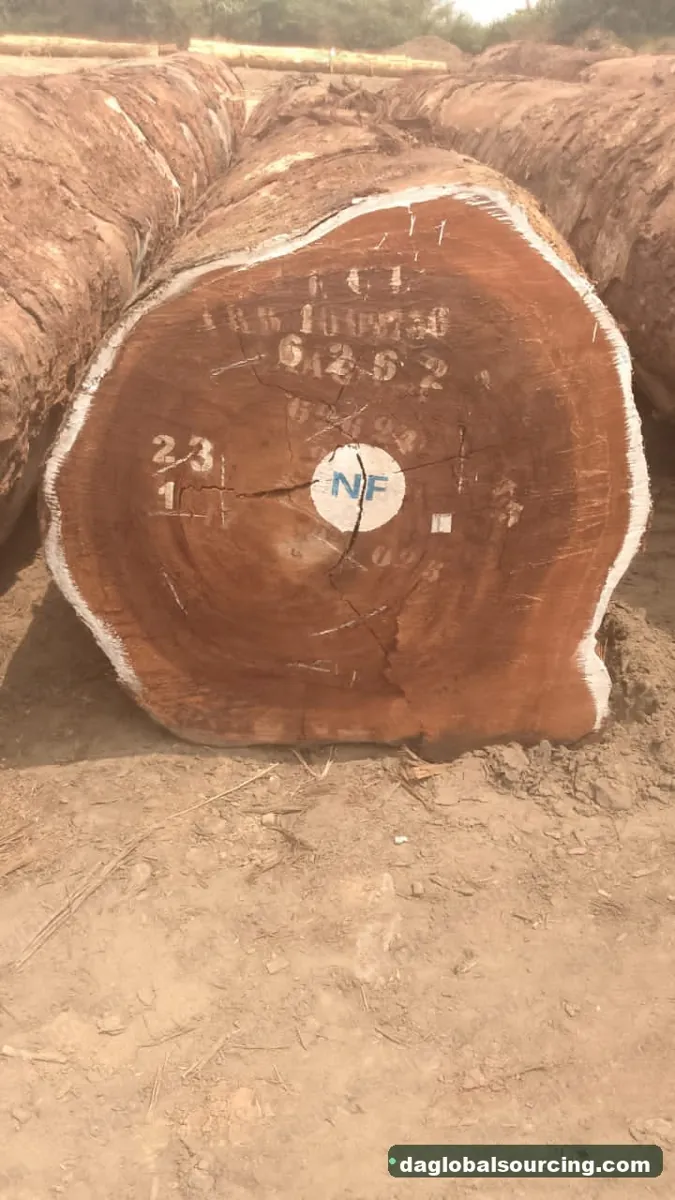 Tali (Ironwood) logs from Cameroon — goods a Vietnam buyer wants