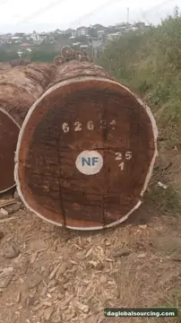 Purchase Tali (Ironwood) Logs From Central African Republic Every Month