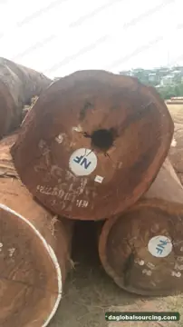 Purchase Tali (Ironwood) Logs From Congo Every Month