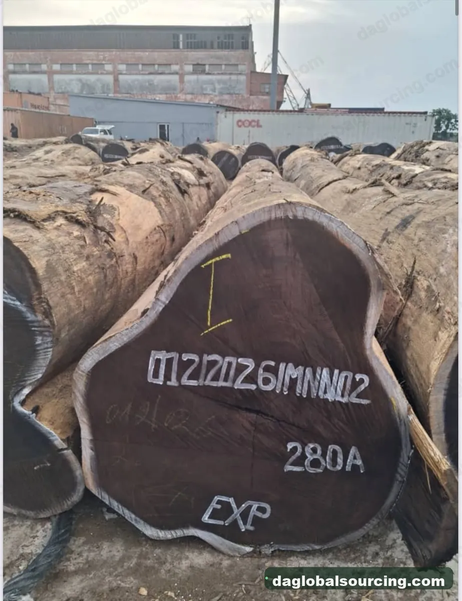 Wenge logs from Congo — goods a Vietnam buyer wants
