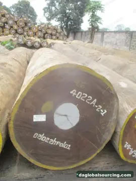 Aformosia from Congo — real goods photo 2