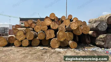 Regular Buyer Of Bilinga Logs From Central African Republic