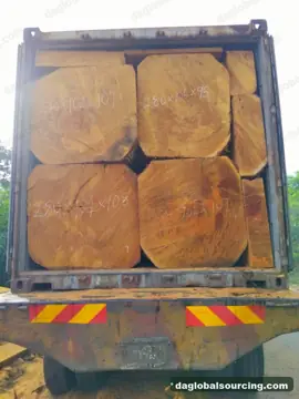 Bilinga from Congo — real goods photo 2