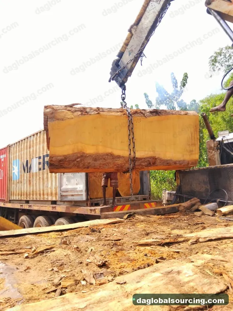 Bilinga squared from Nigeria — goods a Vietnam buyer wants