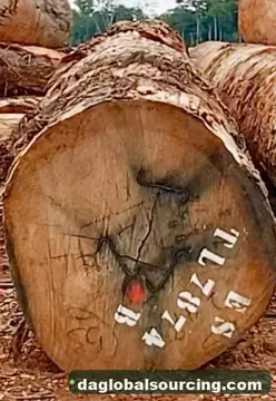 Regular Buyer Of Essia (Abale) Logs From Congo
