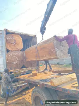 Regular Buyer Of Iroko Logs From Cameroon