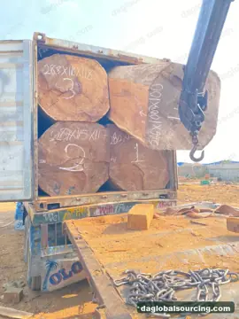 Regular Buyer Of Iroko Logs From Nigeria