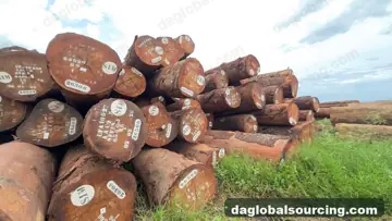 Regular Buyer Of Okan (Denya) Logs From Cameroon
