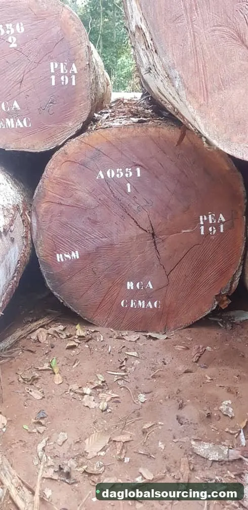 Sapelli (Sapele) logs from Central African Republic — goods a Vietnam buyer wants