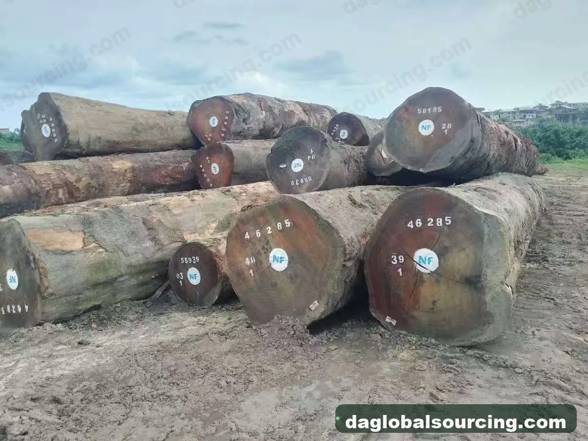 Tali (Ironwood) logs from Cameroon — goods a Vietnam buyer wants