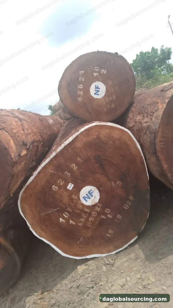 Tali (Ironwood) logs from Central African Republic — goods a Vietnam buyer wants