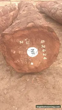 Regular Buyer Of Tali (Ironwood) Logs From Congo