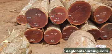 Sapelli (Sapele) Logs Wanted - Vietnam Monthly Buyer — Cameroon