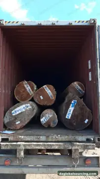 Suriname KAW (Kaw Udu) Logs Needed By Vietnam Importer