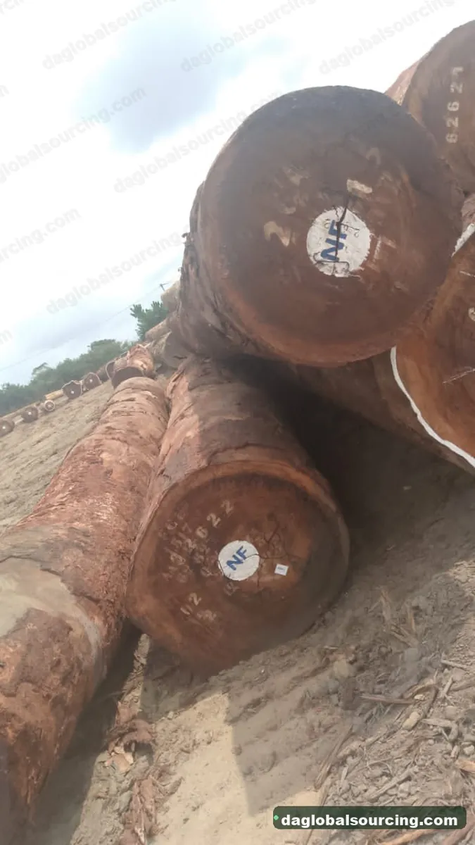 Tali (Ironwood) logs from Cameroon — goods a Vietnam buyer wants