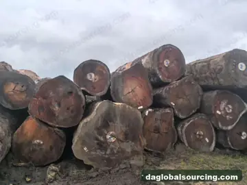 Tali (Ironwood) Logs From Central African Republic - Vietnam Buyer Wanted