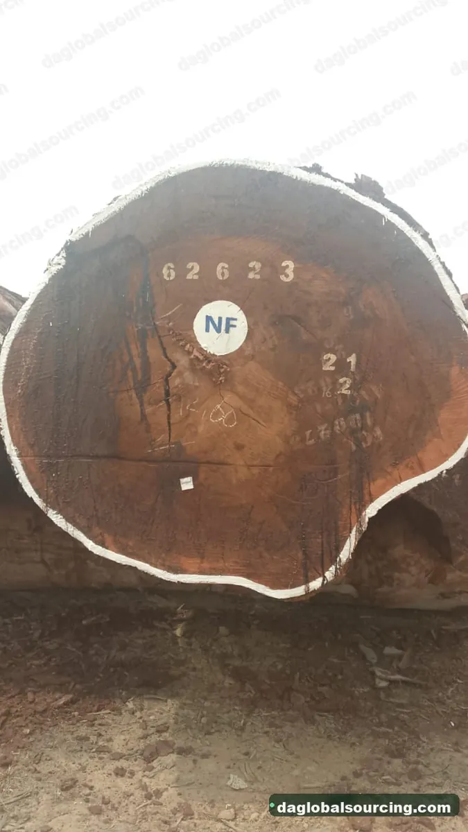 Tali (Ironwood) logs from Congo — goods a Vietnam buyer wants