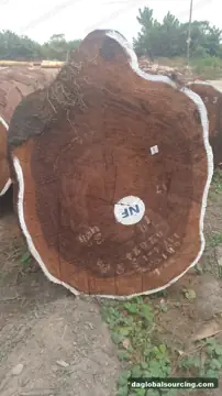 Tali (Ironwood) from Cameroon — real goods photo 2