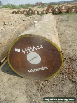 Vietnam Buyer Needs Afrormosia (Assamela) Logs From Congo
