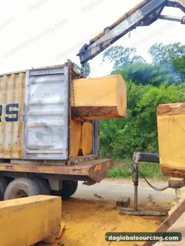 Bilinga from Congo — real goods photo 3
