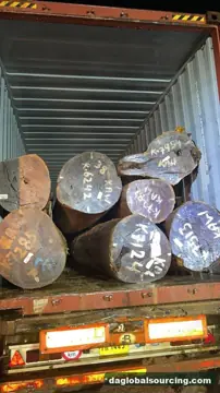 Cow from Guyana — real goods photo 2
