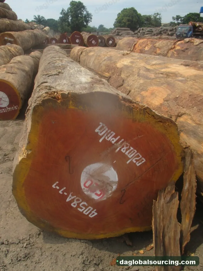 Doussie (Afzelia) logs from Cameroon — goods a Vietnam buyer wants